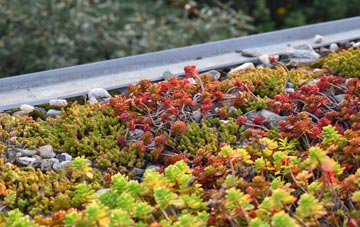 the cost of Llansantffraed In Elwel green roof installation