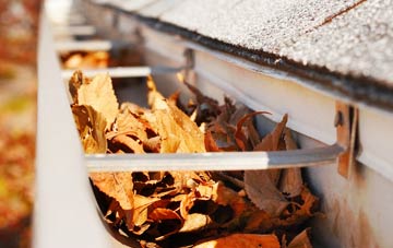 Llansantffraed In Elwel gutter cleaning companies