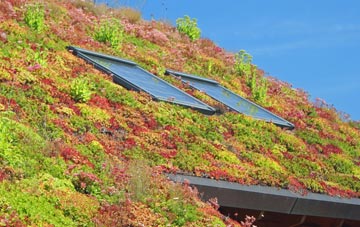 Llansantffraed In Elwel living roof systems