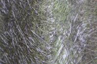 Llansantffraed In Elwel fibreglass roof work